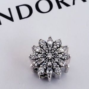 Pandora Ice Crystal Charm
